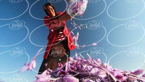 خرید زعفران فله ای درجه یک و صادراتی